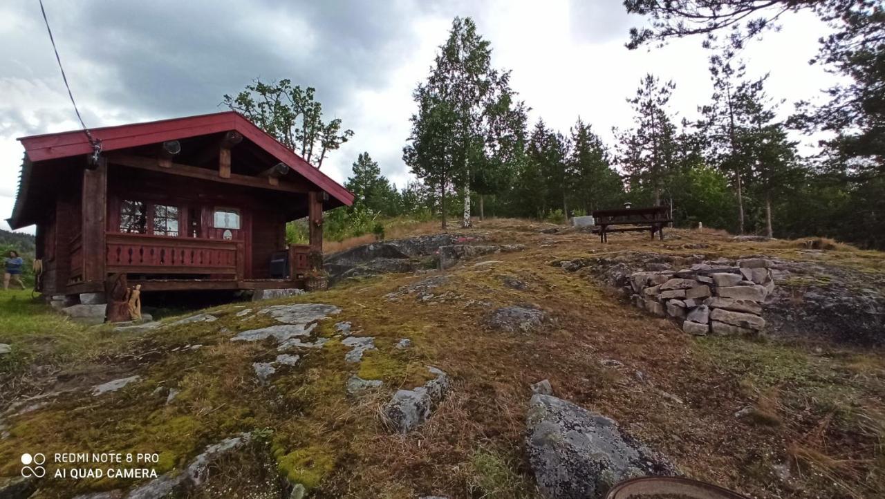 Suigard Smia Villa Sauland Eksteriør billede